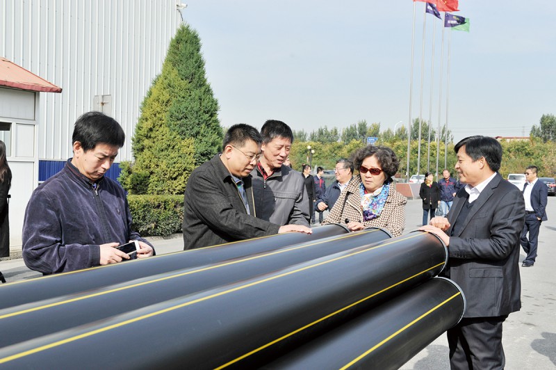 _在吳曉芬總工程師的帶領下，眾技術人員陪同各設計院的專家、總工、工程師們參觀了軍星集團生產園區。DSC0945