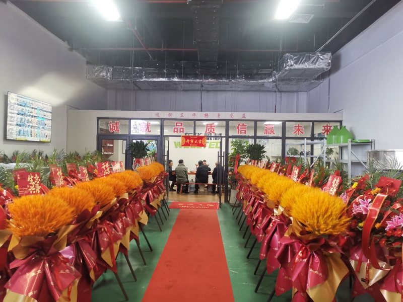 專業團隊助力，全方位服務客戶