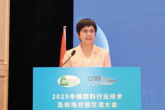 中國輕工業聯合會副會長何燁